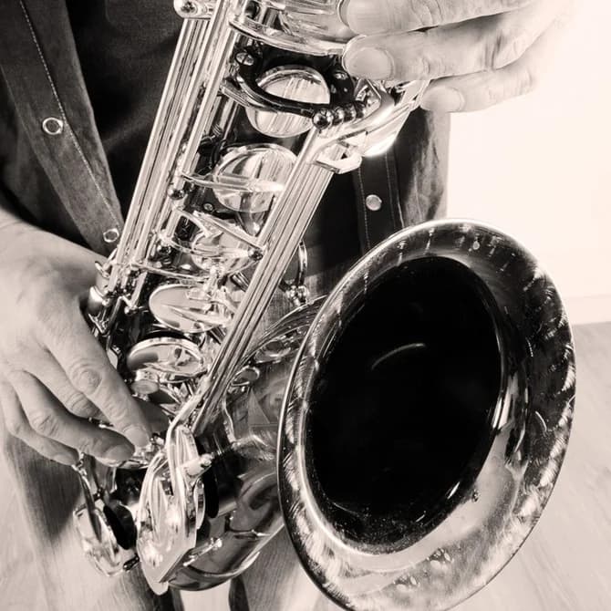 Samplephonics Snake Davis Sax Sessions Samplephonics Snake Davis Sax Sessions