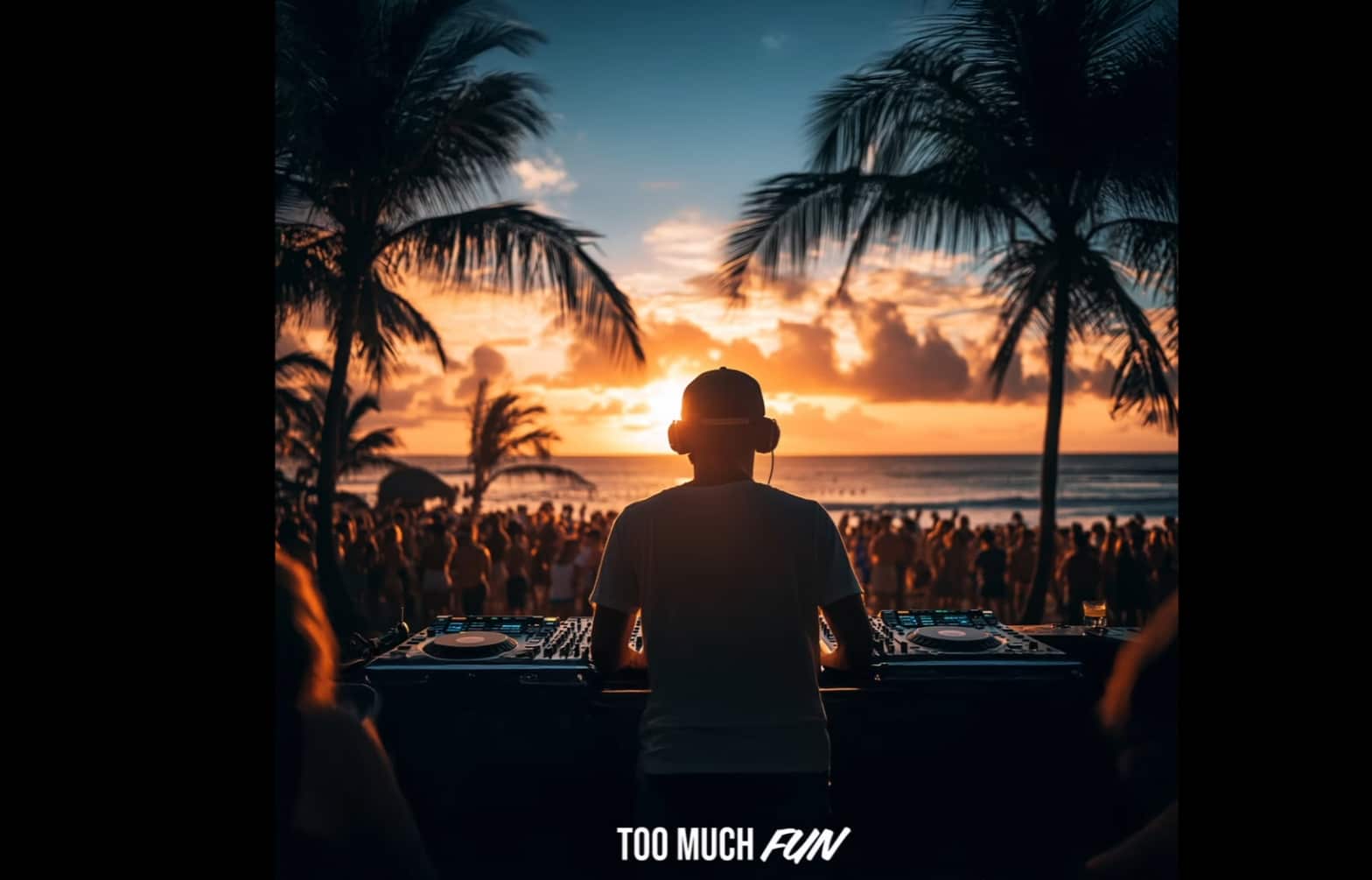 Avicii - Too Much Fun (Fan Cover)